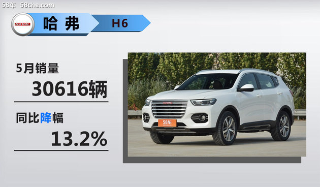 NN,SUV