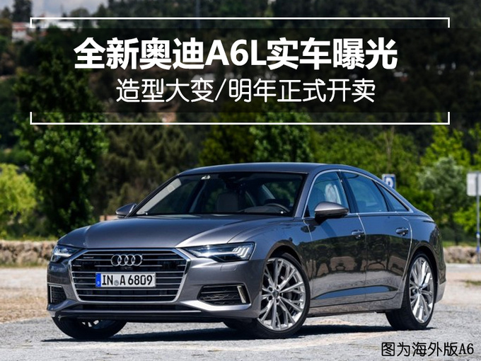 WA62019WA6L
