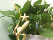 ë܇WsߵߌЇؔ2018ܳƷ󪄡