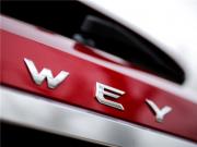 WEY P8_SUVֵr