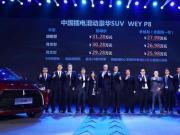 WEY P8ԃrȳߣĄˆ᣿