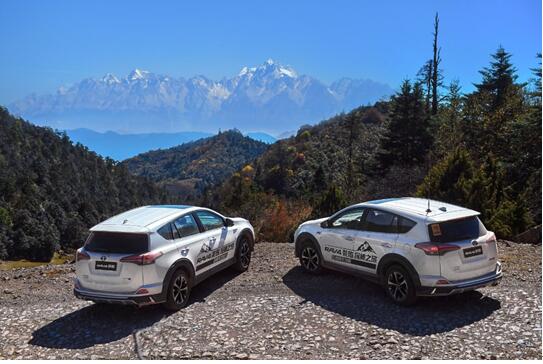 RAV4s