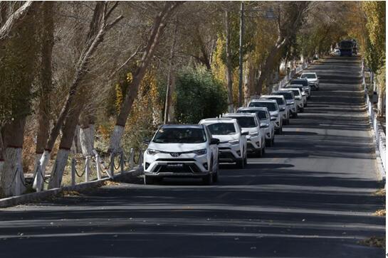 RAV4s